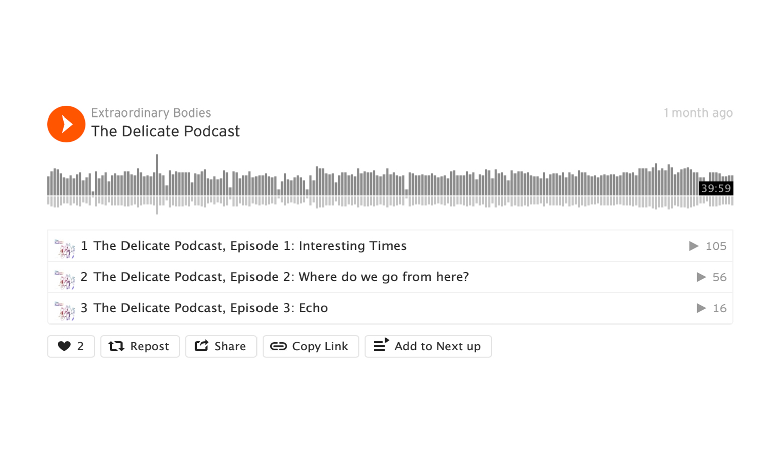 A screenshot of the podcast on Soundcloud: a grey waveform in the centre with "The Delicate Podcast" title above and episode titles below.