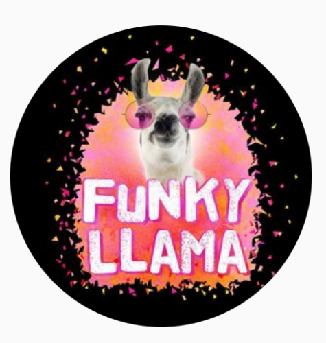 Logo for Funky Llama: White, orange and bright pink tones. A llama wearing sunglasses above white letters with a pink outlined that red: "FUNKY LLAMA".