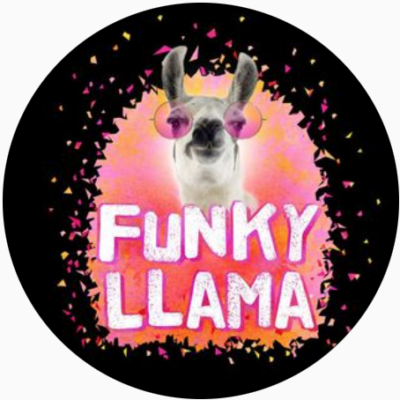 Logo for Funky Llama: White, orange and bright pink tones. A llama wearing sunglasses above white letters with a pink outlined that red: "FUNKY LLAMA".